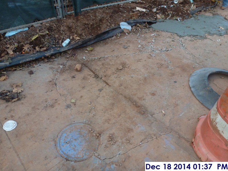 Damaged sidewalk along Cherry Street 2